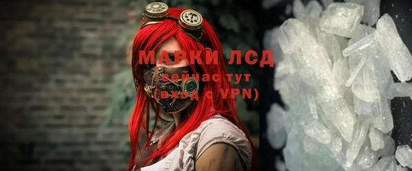 твердый Новозыбков