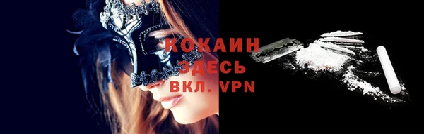 твердый Новозыбков