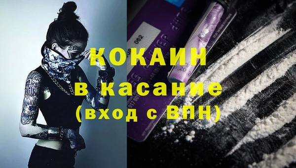 индика Новодвинск
