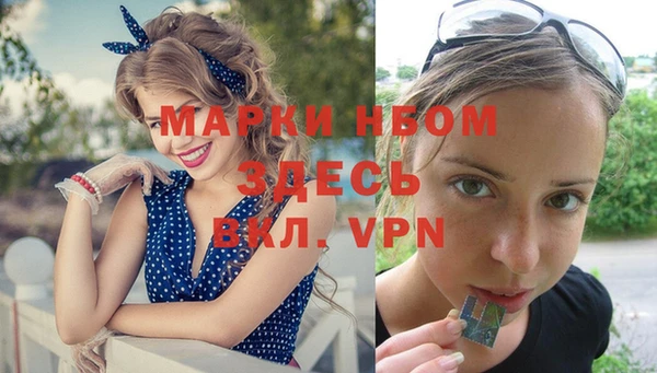 индика Новодвинск