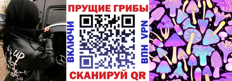 Галлюциногенные грибы прущие грибы Городище